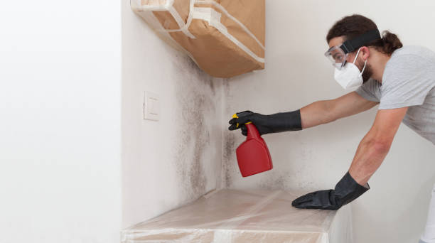 Professional Bathroom Mold Removal technician working in Holland, TX
