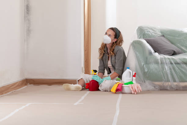 Reliable Bathroom Mold Removal contractor in Holland, TX by Mold Remediation HQ